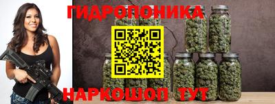 индика Кунгур