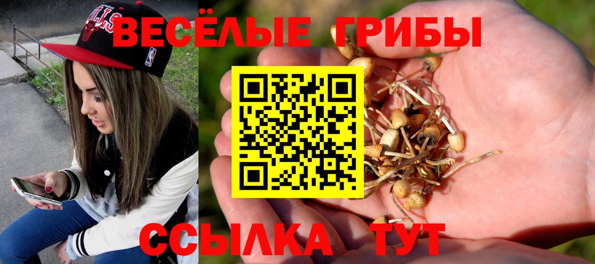 даркнет сайт  Вход с VPN  Псилоцибиновые грибы мухоморы  Добрянка  Галлюциногенные грибы Magic Shrooms 