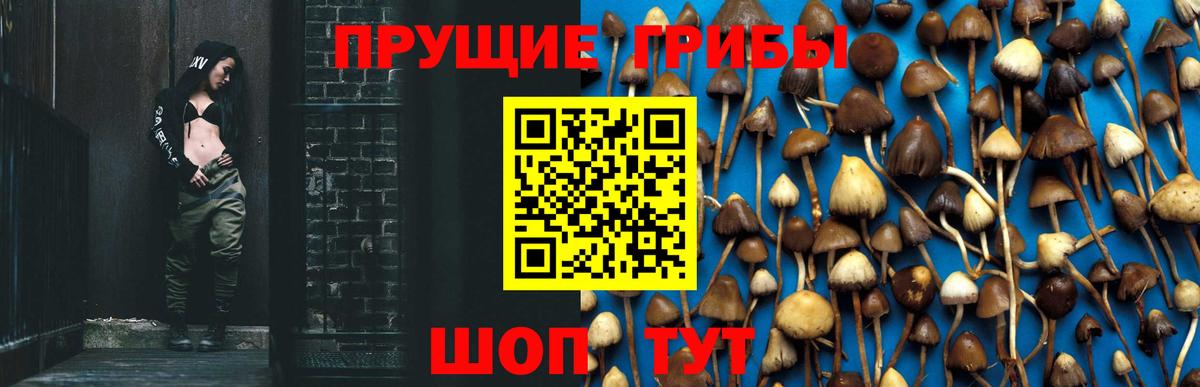 Галлюциногенные грибы ЛСД Добрянка